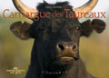 CAMARGUE DES TAUREAUX
