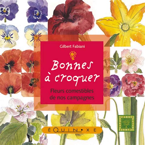 BONNE A CROQUER Fleurs commestibles de nos campagnes