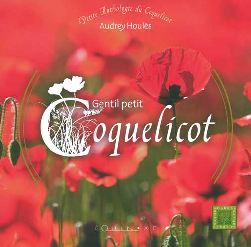 GENTIL PETIT COQUELICOT