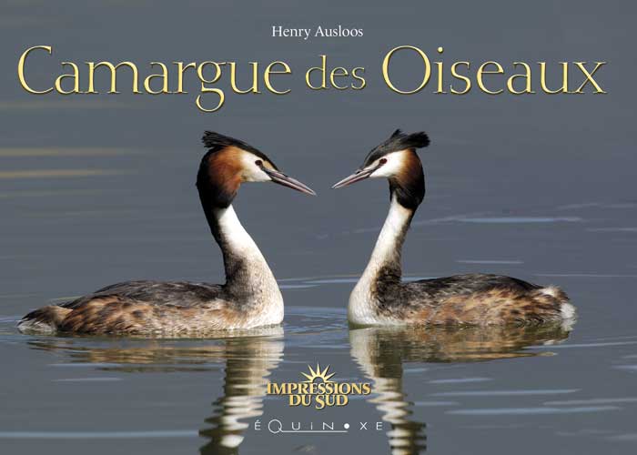 CAMARGUE DES OISEAUX