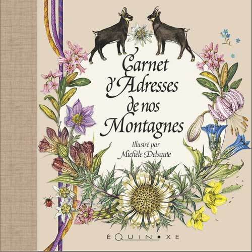 Carnet d'adresses de nos montagnes Marron (petit format)