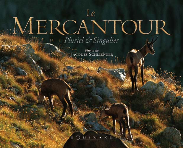 LE MERCANTOUR LE MERCANTOUR