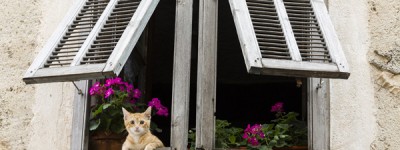 Reproduction interdite sans autorisation de l'auteur.